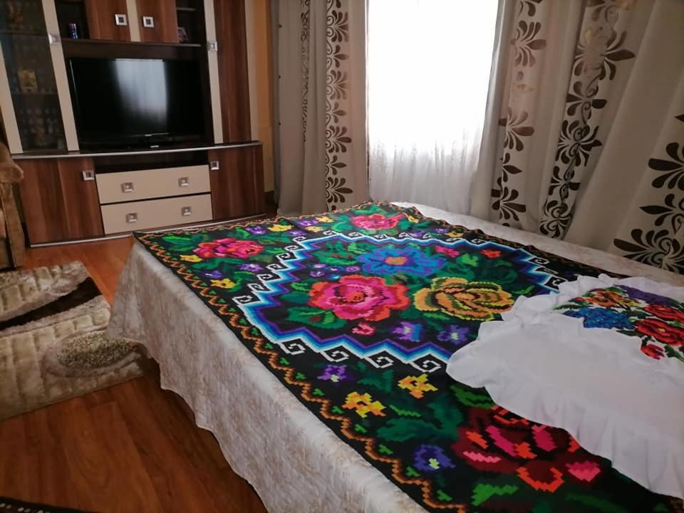 Pensiunea Brezu Syhot Marmaroski Zewnętrze zdjęcie