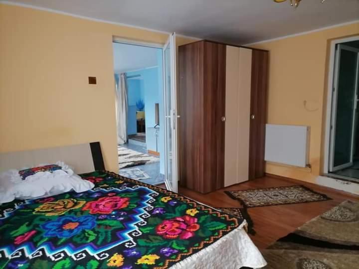Pensiunea Brezu Syhot Marmaroski Zewnętrze zdjęcie